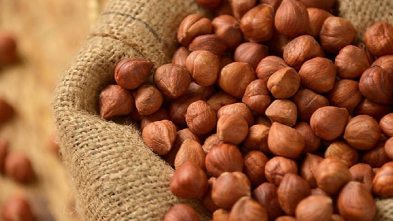 Foto - Türk fındığı ihracatta rekora koşuyor!