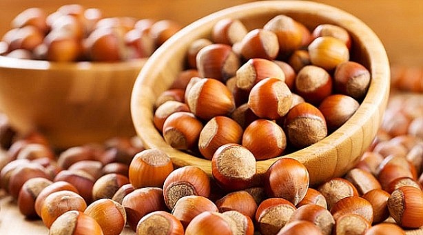 Foto - Türk fındığına rakip olmak için 1 milyon ağaç dikmişlerdi! Bakın ne oldu