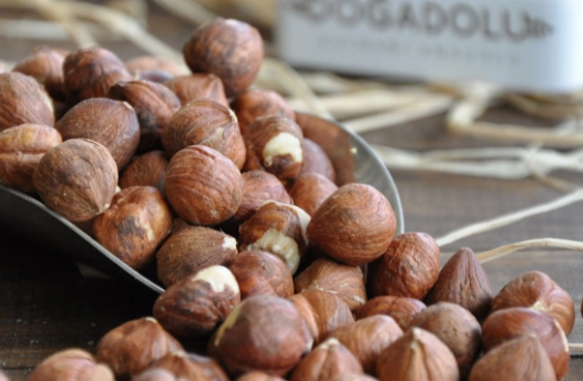 Foto - Türk fındığına rakip olmak için 1 milyon ağaç dikmişlerdi! Bakın ne oldu