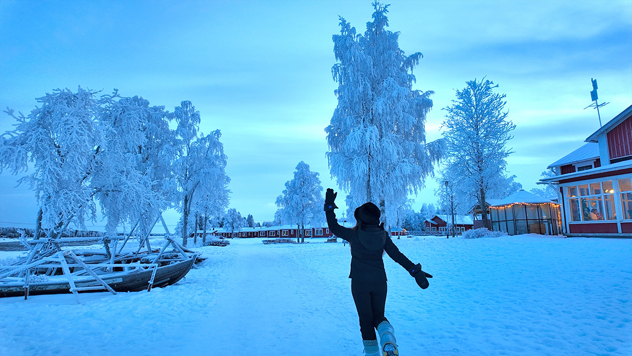 Foto - Türk Hava Yolları kutuplarda da farkını ortaya koydu... Şimdiden 2023 ve 2024’ü geçtiler... Finlandiya’dan Türkiye’ye vize kolaylığı... Kuzey ışıklarının güzelliği Türk turistleri mest etti