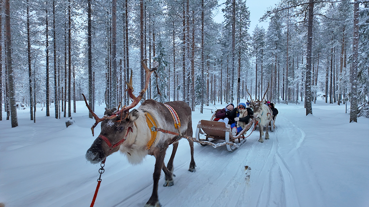Foto - Türk Hava Yolları kutuplarda da farkını ortaya koydu... Şimdiden 2023 ve 2024’ü geçtiler... Finlandiya’dan Türkiye’ye vize kolaylığı... Kuzey ışıklarının güzelliği Türk turistleri mest etti