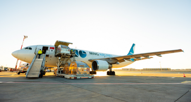 Foto - Türk havacılık devi BAE'lilere satıldı! Araplar satın alır almaz öyle bir hamle yaptı ki...