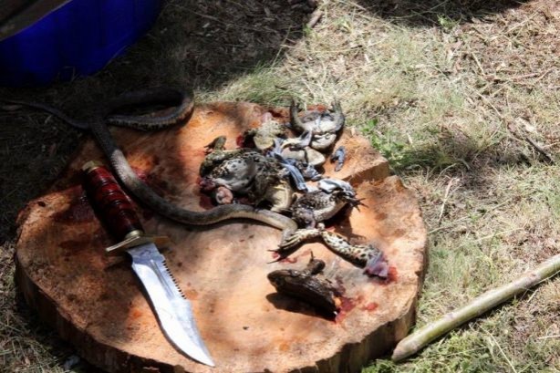 Foto - Türk komandosunun yemek menüsü