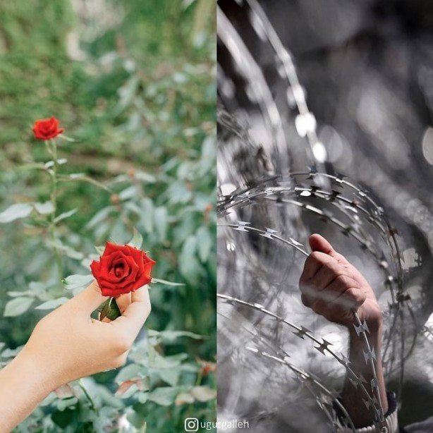 Foto - Türk kullanıcıdan dikkat çeken çalışma! Adaletsizliği 'tek kareye' sığdırdı