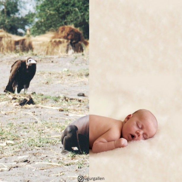 Foto - Türk kullanıcıdan dikkat çeken çalışma! Adaletsizliği 'tek kareye' sığdırdı