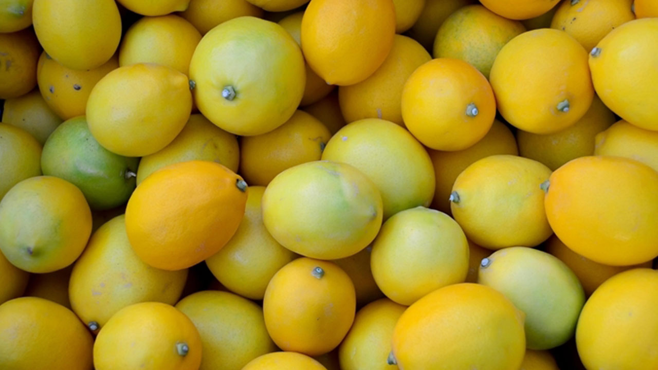 Türk limonu kararı Rusya'yı karıştırdı! Bunu hiç beklemiyorlardı