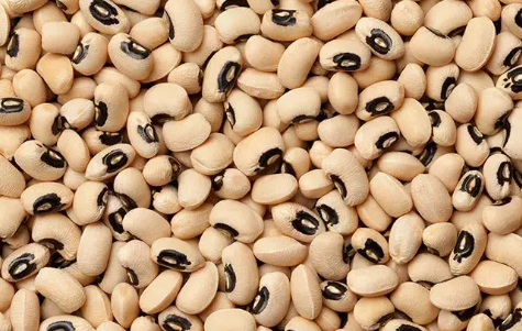 Foto - Ünlü gıda markasında böcek ilacı tespit edildi! Marketlerden acil olarak toplatılıyor