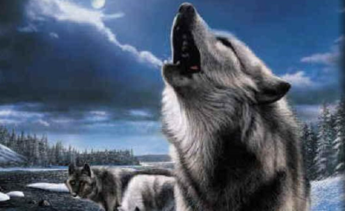 Foto - Türk mitolojisini Çinliler değiştirdi! Asıl gerçek bambaşka