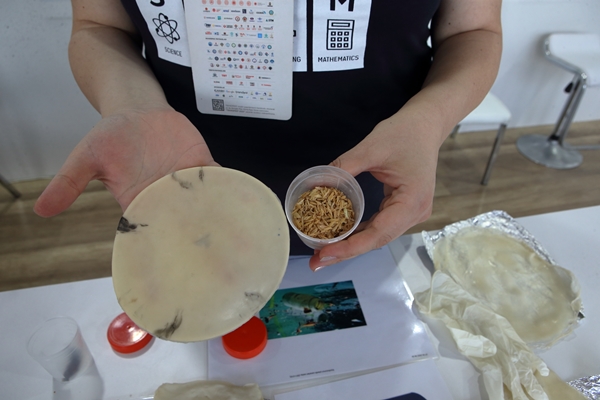 Türk öğrencilerden plastiğin sonunu getirecek müthiş buluş!