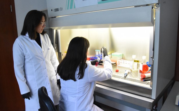 Foto - Türk profesör geliştirdi Kanser tedavisinde devrim gibi buluş