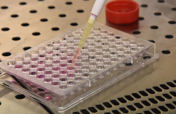 Foto - Türk profesör geliştirdi Kanser tedavisinde devrim gibi buluş