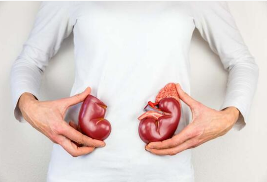 Foto - Türk profesörden hayati uyarı! Su içmezseniz...