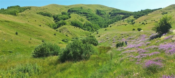 Foto - Türk profesör buldu: Orada petrol var, kokusunu bile alıyorum! Rus petrolü ile eşdeğer, hemen çıkarılmalı