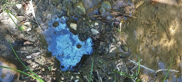 Foto - Türk profesör buldu: Orada petrol var, kokusunu bile alıyorum! Rus petrolü ile eşdeğer, hemen çıkarılmalı