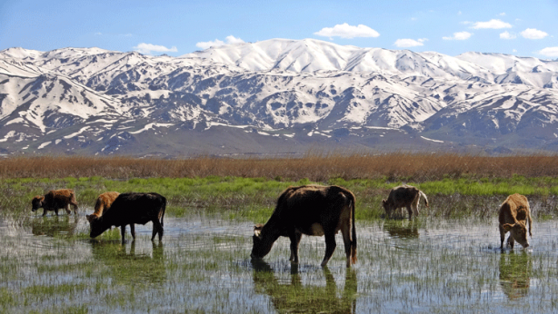 Foto - Türk SİHA'ları dünyayı hayran bıraktı! Milyonlar bu anı konuştu