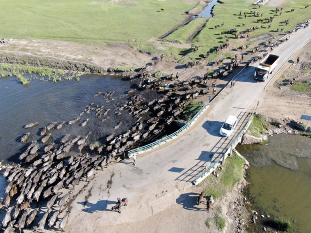 Foto - Türk SİHA'ları dünyayı hayran bıraktı! Milyonlar bu anı konuştu