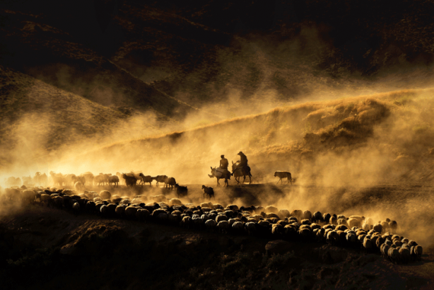 Foto - Türk SİHA'ları dünyayı hayran bıraktı! Milyonlar bu anı konuştu
