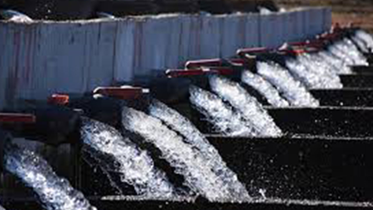 Türk sularından fışkırıyor: 25 ülke peşine düştü, çılgınlar gibi satın almaya başladılar