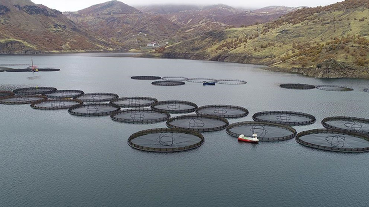 Foto - Türk sularından fışkırıyor: 25 ülke peşine düştü, çılgınlar gibi satın almaya başladılar