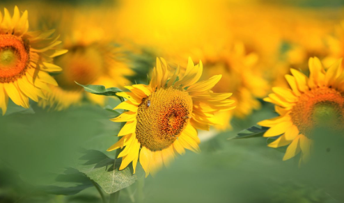 Foto - Türk tarımına operasyon mu çekiliyor? Şaşkına çeviren gelişme ortaya çıktı