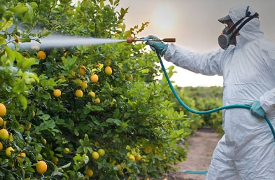 Foto - Türk tarımında büyük skandal! Sebze ve meyveler yurtdışından bir bir dönüyor...Sebebi ölümcül