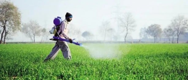 Foto - Türk tarımında büyük skandal! Sebze ve meyveler yurtdışından bir bir dönüyor...Sebebi ölümcül