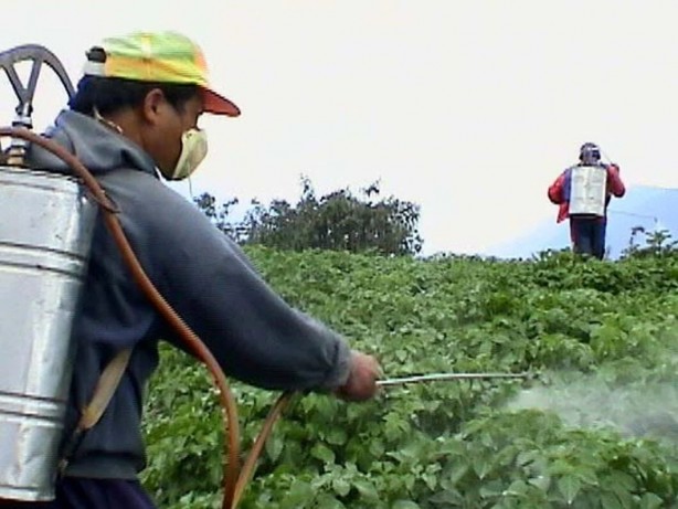 Foto - Türk tarımında büyük skandal! Sebze ve meyveler yurtdışından bir bir dönüyor...Sebebi ölümcül