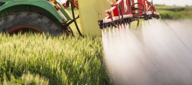 Foto - Türk tarımında büyük skandal! Sebze ve meyveler yurtdışından bir bir dönüyor...Sebebi ölümcül