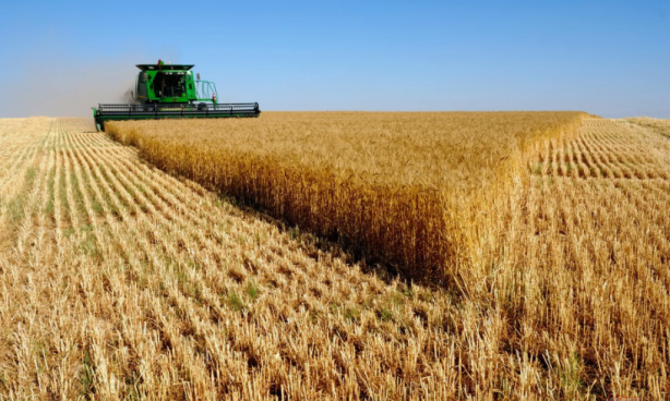 Foto - Türk tarımından kahreden haber! Durum gerçekten endişe verici
