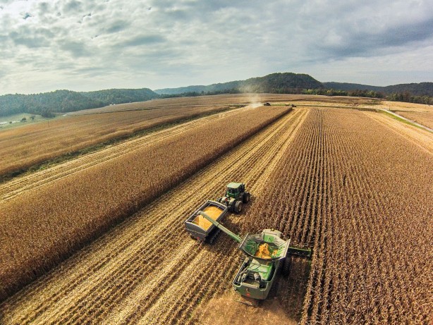 Foto - Türk tarımından kahreden haber! Durum gerçekten endişe verici