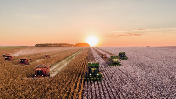 Foto - Türk tarımından kahreden haber! Durum gerçekten endişe verici