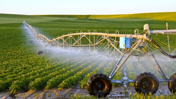 Foto - Türk tarımından kahreden haber! Durum gerçekten endişe verici