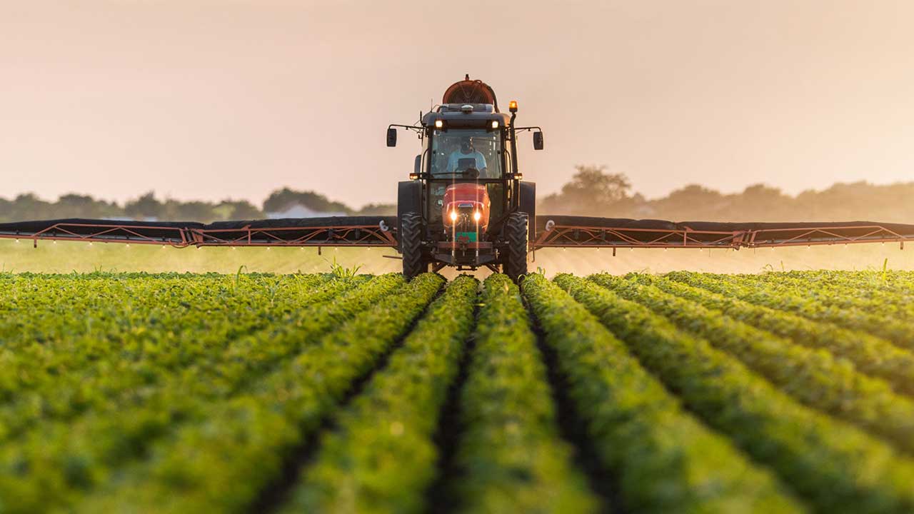Türk tarımından kahreden haber geldi: Son gelişme maalesef öyle böyle değil çok kötü