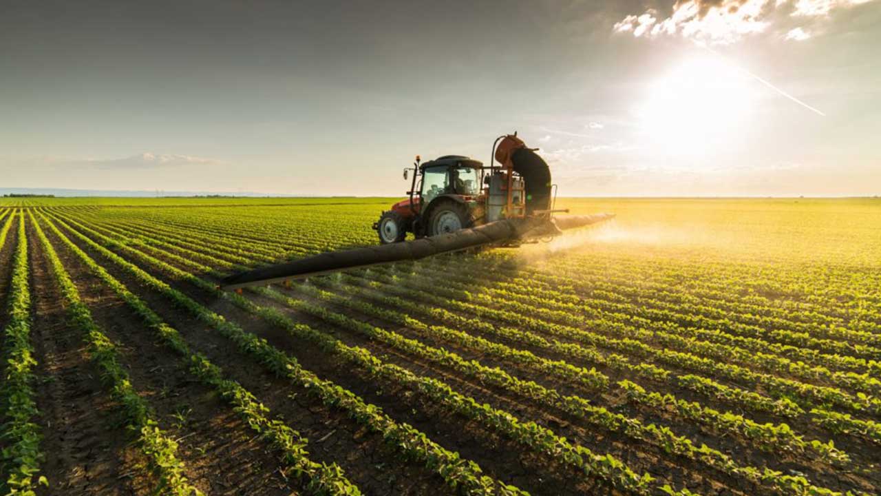 Foto - Türk tarımından kahreden haber geldi: Son gelişme maalesef öyle böyle değil çok kötü