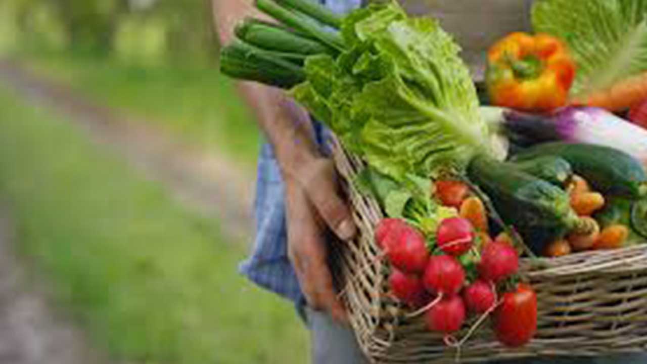 Foto - Türk tarımından kahreden haber geldi: Son gelişme maalesef öyle böyle değil çok kötü