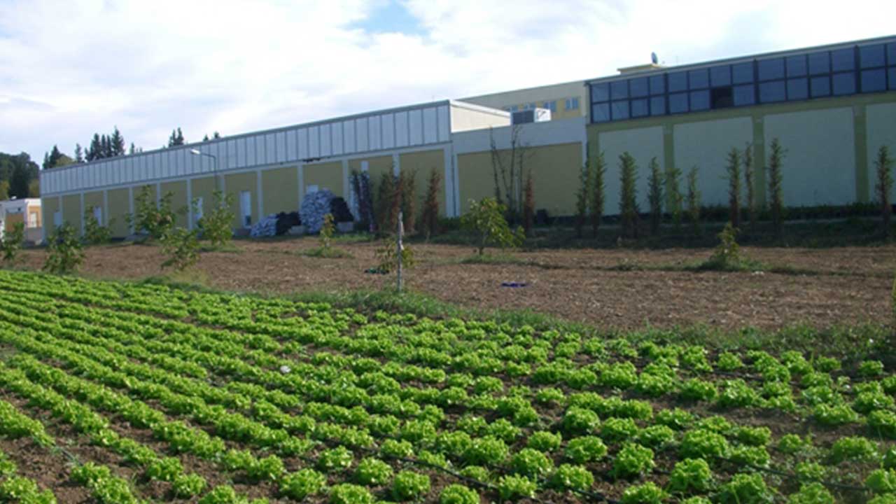 Foto - Türk tarımından kahreden haber geldi: Son gelişme maalesef öyle böyle değil çok kötü