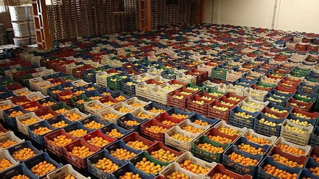 Foto - Türk tarımından kahreden haber geldi: Son gelişme maalesef öyle böyle değil çok kötü