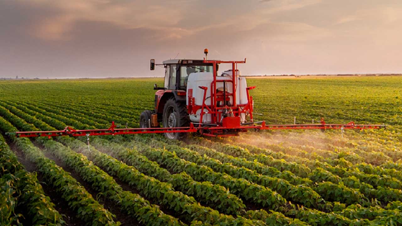 Foto - Türk tarımından kahreden haber geldi: Son gelişme maalesef öyle böyle değil çok kötü