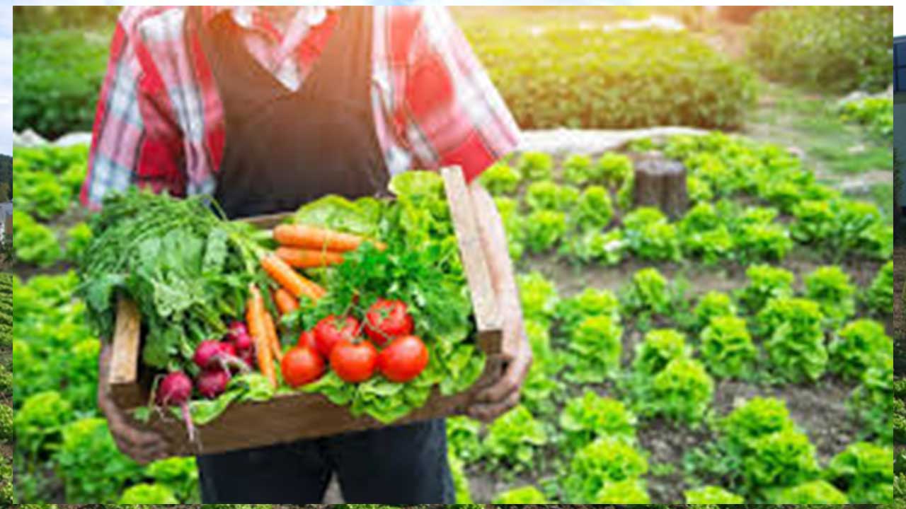 Foto - Türk tarımından kahreden haber geldi: Son gelişme maalesef öyle böyle değil çok kötü