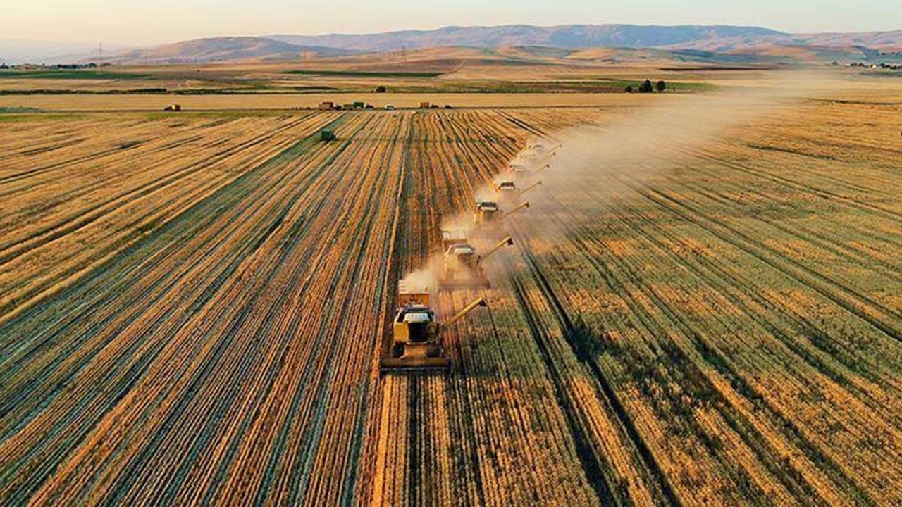 Türk tarımından kahreden haber! Olmayacak şey oldu, vatandaş tam anlamıyla yanacak