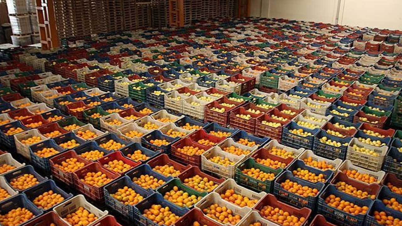 Foto - Türk tarımından kahreden haber! Olmayacak şey oldu, vatandaş tam anlamıyla yanacak