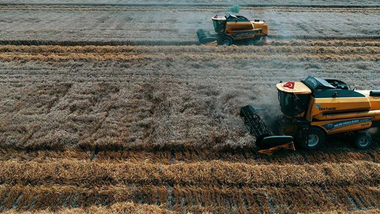 Foto - Türk tarımından kahreden haber! Olmayacak şey oldu, vatandaş tam anlamıyla yanacak
