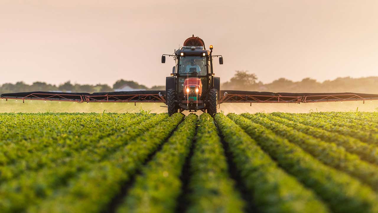 Foto - Türk tarımından kahreden haber! Olmayacak şey oldu, vatandaş tam anlamıyla yanacak