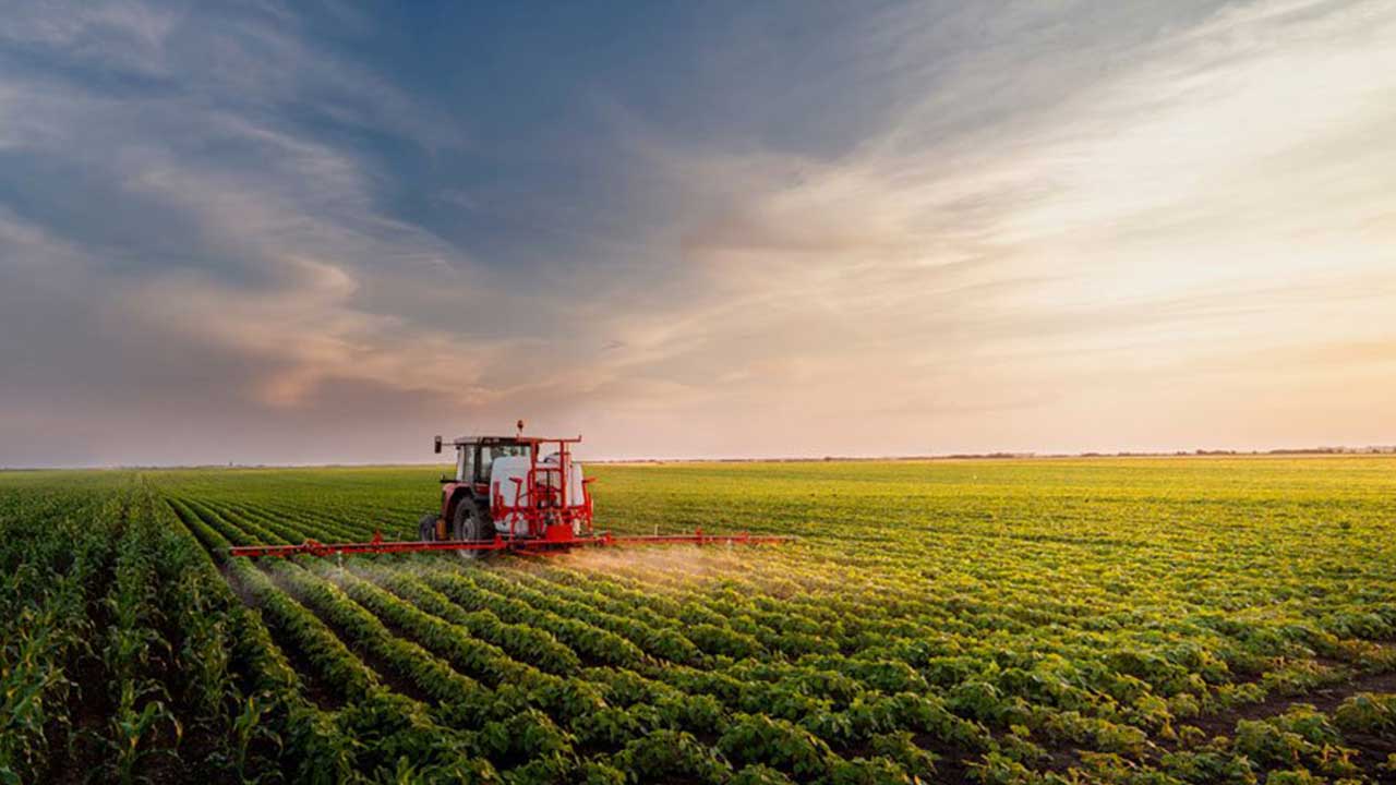 Foto - Türk tarımından kahreden haber! Olmayacak şey oldu, vatandaş tam anlamıyla yanacak