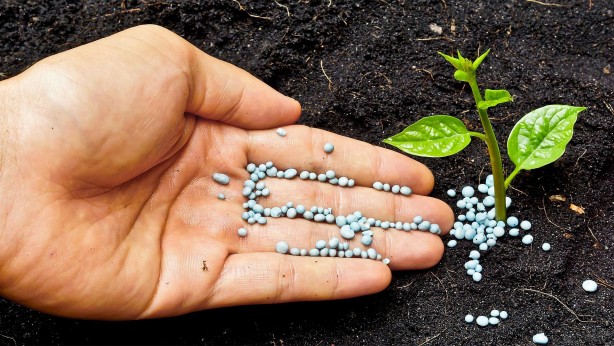 Foto - Türk tarımını kurtaracak gelişme! Bilim insanlarımız buldu, müthiş keşif müthiş
