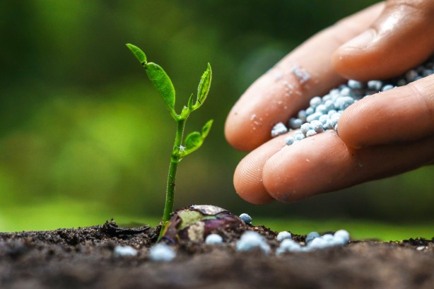 Foto - Türk tarımını kurtaracak gelişme! Bilim insanlarımız buldu, müthiş keşif müthiş