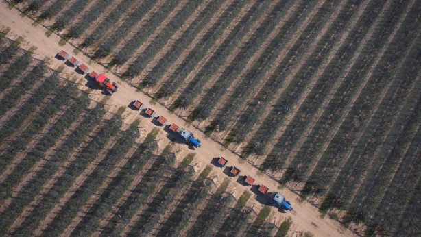 Foto - Türk tavuk devinden beklenmedik karar! Satışa çıkarıldı