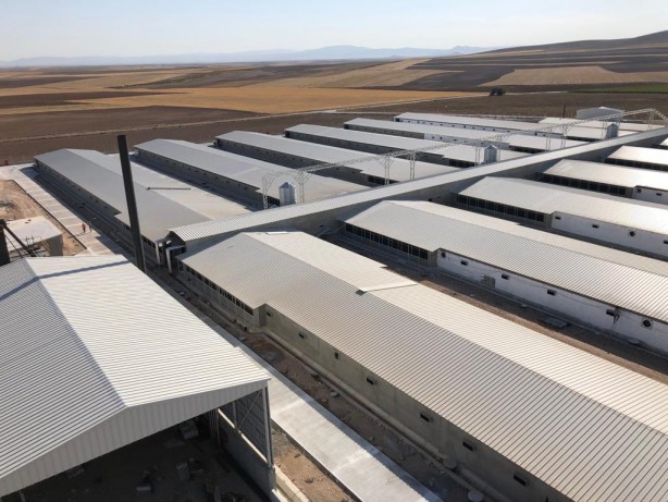 Foto - Türk tavuk devinden beklenmedik karar! Satışa çıkarıldı