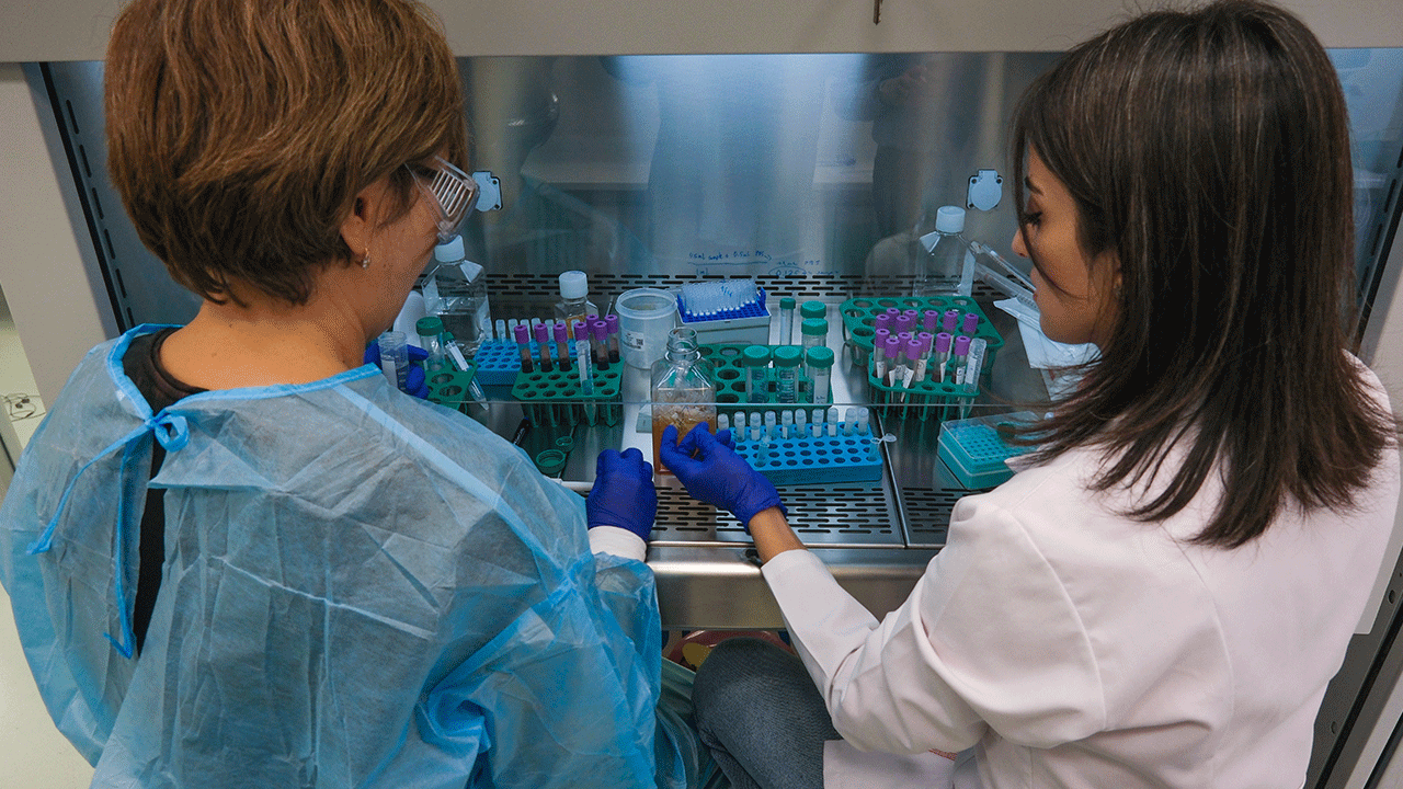 Foto - Türk ve Amerikan bilim insanları ortak aşı geliştiriyor!