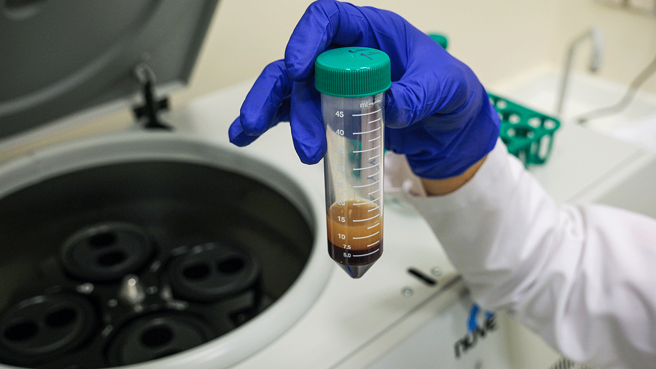 Foto - Türk ve Amerikan bilim insanları ortak aşı geliştiriyor!